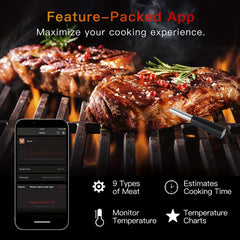 Smart Meat Thermometer Waterproof Wireless Dual Probe Digital Cooking