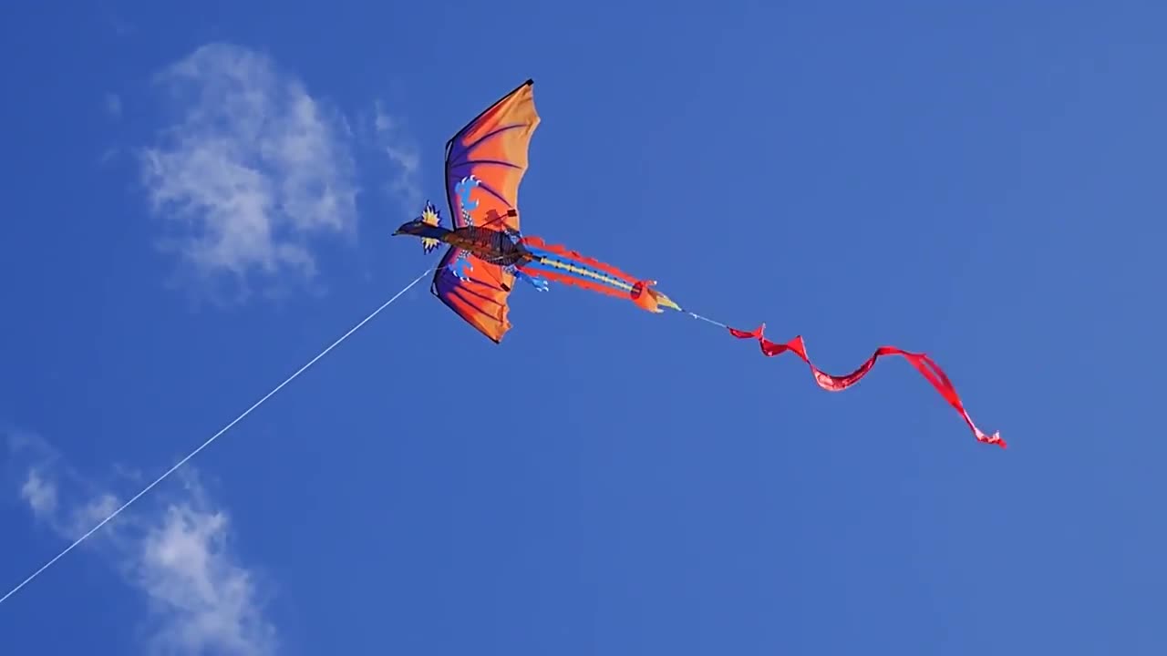 3D Dinosaur Kite Pterosaur Animal Kite Outdoor Park