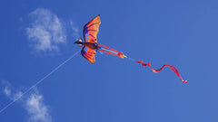 3D Dinosaur Kite Pterosaur Animal Kite Outdoor Park