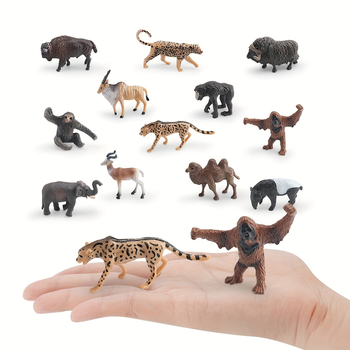 img_5429663