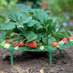 Plant Support Strawberry Support Garden Balcony Planter Green Climbing Pergola