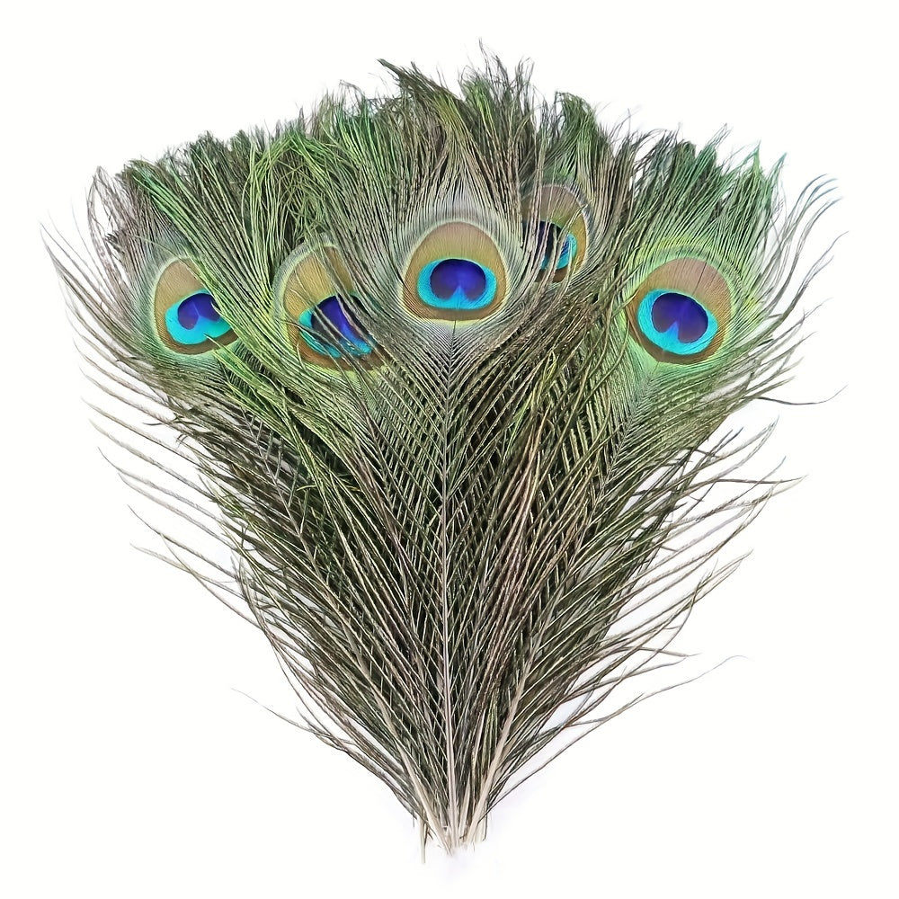 15pcs Artificial Peacock Feather 10-12 Inches DIY Handicra