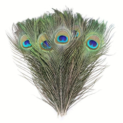 15pcs Artificial Peacock Feather 10-12 Inches DIY Handicra
