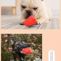 TPR Dog Toy for Teeth Cleaning and Spill Prevention