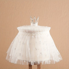 2pcs Crown & Lace Skirt Set for 0-3 Months Baby Photos