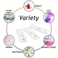 100pcs Microscope Slides High Quality Prepared Specimens