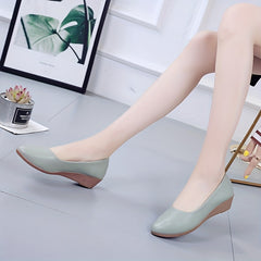 Women's Low Wedge Soft Sole Pointed Toe Shoes