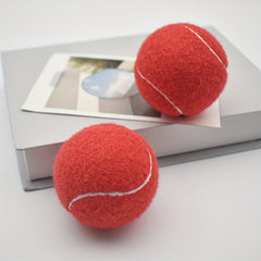 2pcs High Elasticity Tennis Balls for Beginners