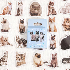 45pcs Cat Selfie Decorative Stickers for Diary Journal Planner Scrapbooking