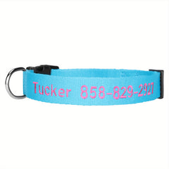 Custom Dog Collar with Name & Number