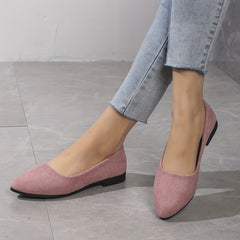 Women's Pointed Toe Ballet Flats Soft Sole Slip On Shoes