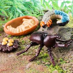 4pcs Mini Animal Growth Cycle Set Unicorn Fairy Shovel Insect Toy