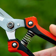Stainless Steel Fruit Scissors w/ Comfortable Grip Handle