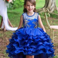 Kids Vintage Ruffle Lace Flower Dress Trailing Princess Dress