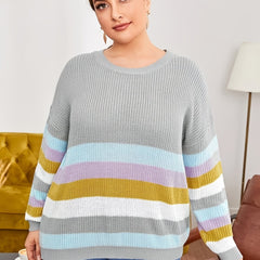 Colorblock Long Sleeve Sweater Women's Plus Casual Pullover Sweater