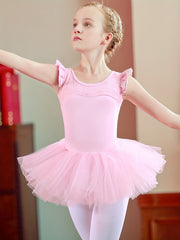 Floral Embroidery Tutu Dress for Girls - Ballet Dance Practice Costume
