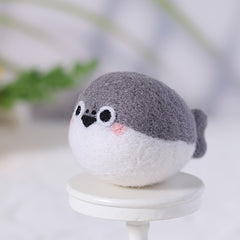 Wool Needle Felting Kit for Beginners - DIY Art Craft Material Package