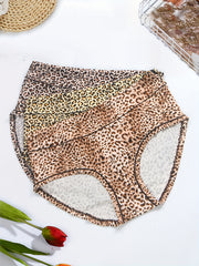 3 Pack Plus Size Leopard Print Briefs Set