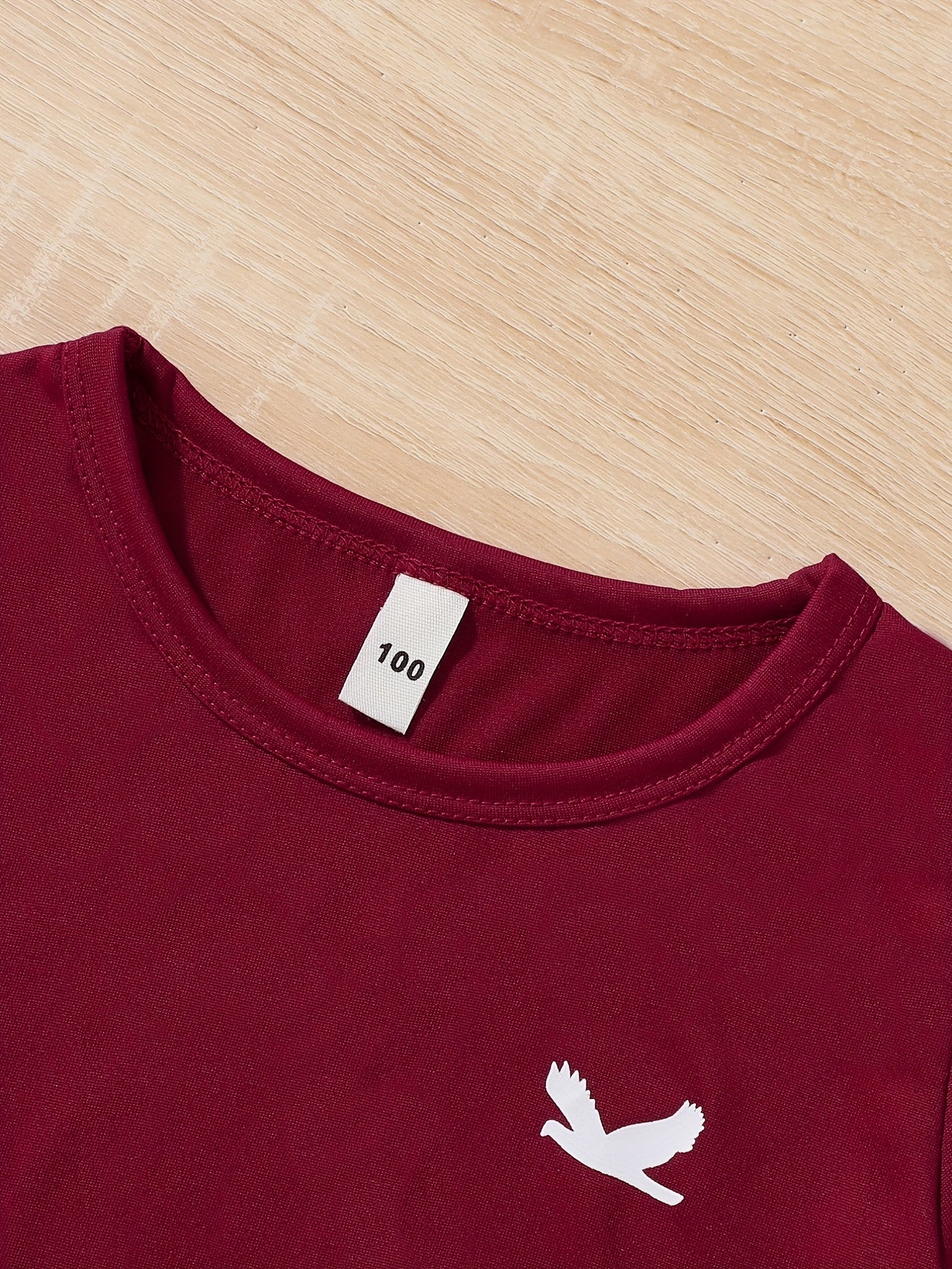 Boys Pigeon Pattern Sweatshirt & Sweatpants Set for Kids
