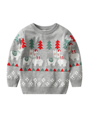 Boys Christmas Alpaca Knit Sweater