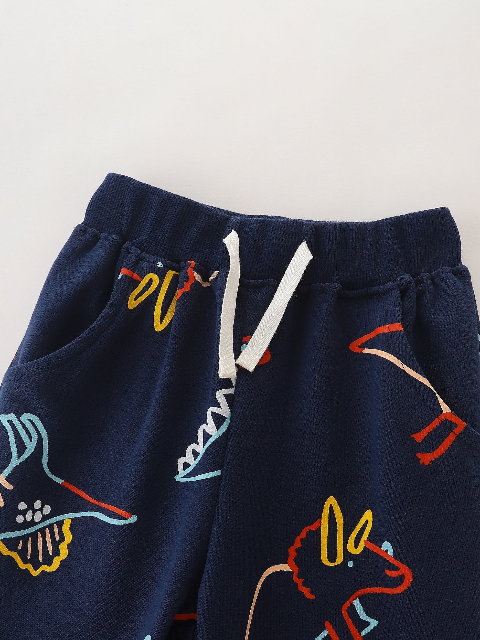 Colorful Dinosaurs Full Print Boys Sweatpants