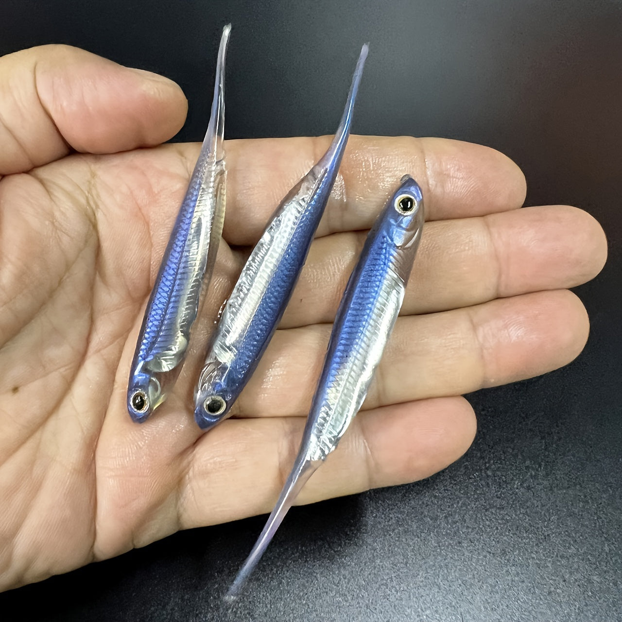 6pcs Soft Swimbaits Straight Tail Bass Fishing Rubber Minnow Lures
