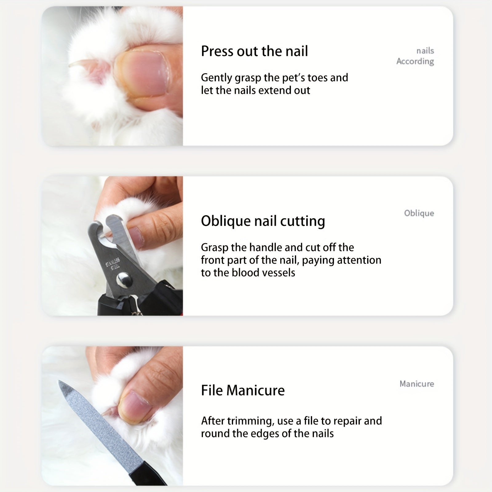 Dog Hair Remover Comb & Nail Clipper Set