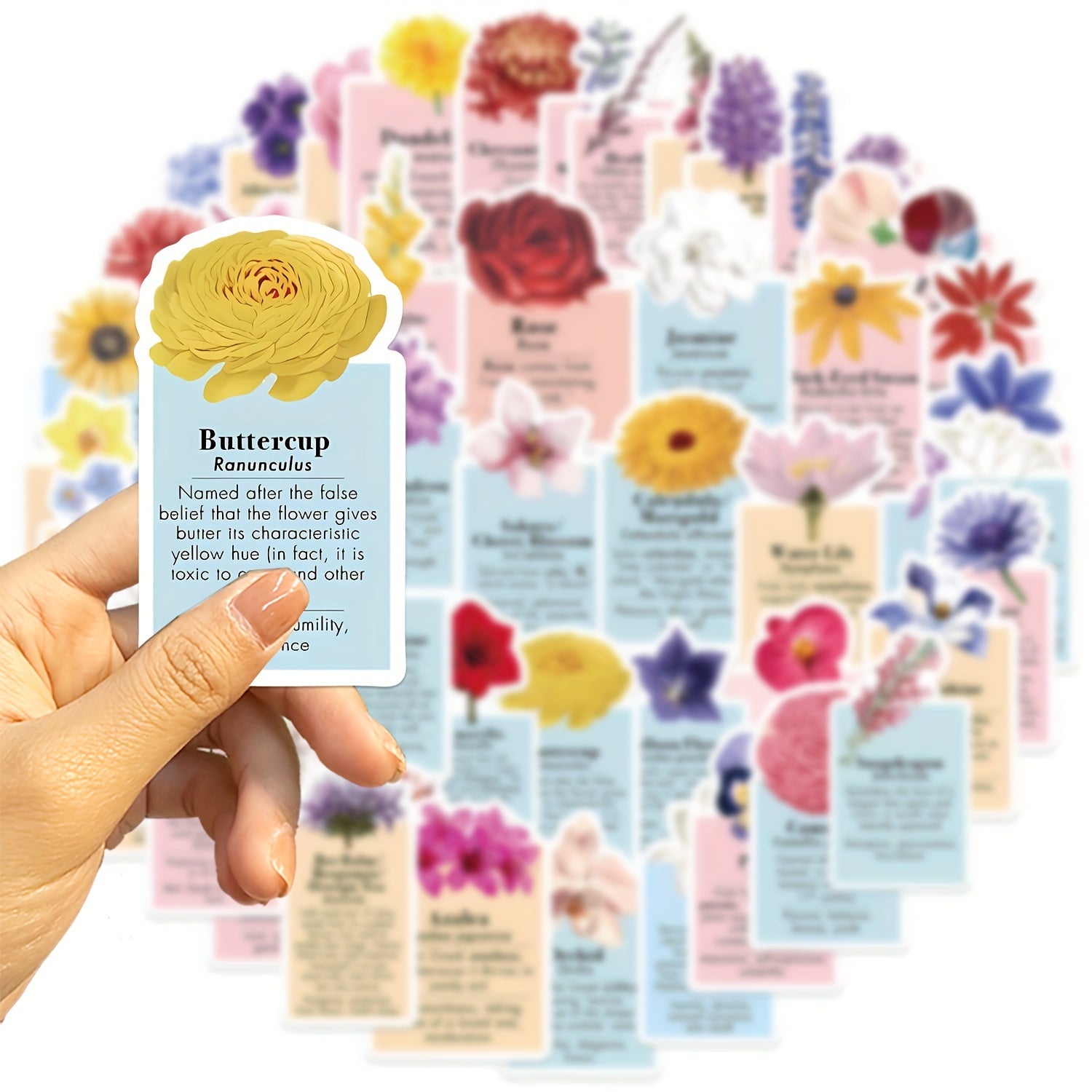 50pcs Flower Language Label Graffiti Stickers for DIY Water Cup Laptop Helmets