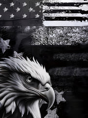 Eagle 3D Print T-shirt Men's Casual Street Style Tee Shirt for Summer