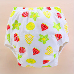 2pcs Reusable Cotton Cloth Diapers Training Pants - Potty Training