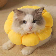 Adjustable Sunflower Recovery Collar for Cats and Small Dogs