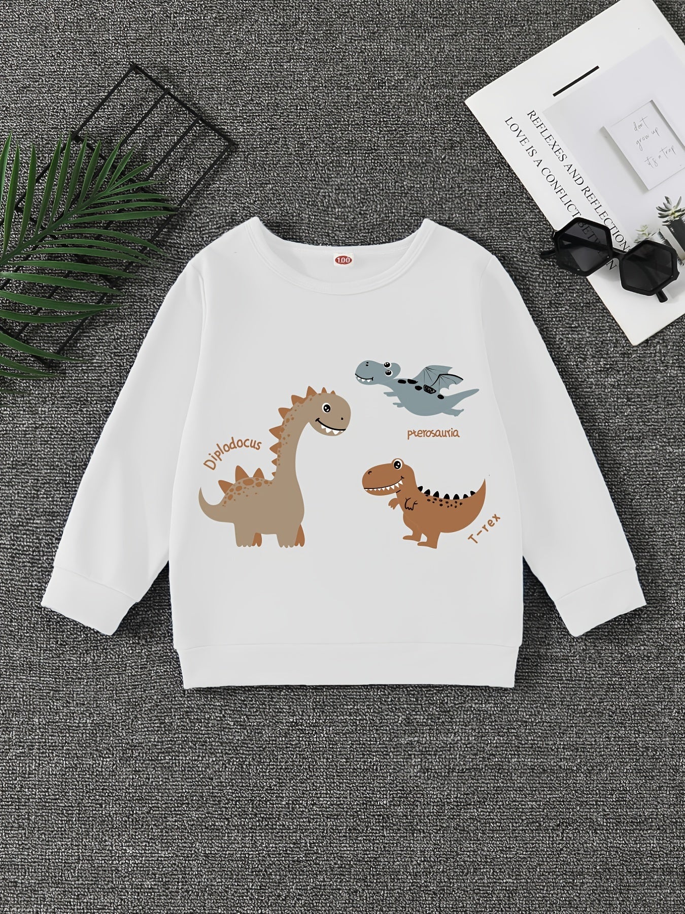 Dinosaur Print Boys Sweatshirt Long Sleeve Crew Neck Tops Kids Clothing