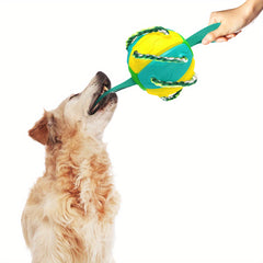 Durable Flying Disc Football Dog Toy