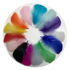 100 Colorful Feathers DIY Craft Jewelry Wedding Party Decorations