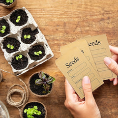 20pcs Seed Envelope Self-sealing Seed Preservation Envelope