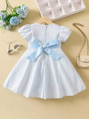 Flutter Sleeve Zip Up Belted Puffy Dress Toddler Baby Girls