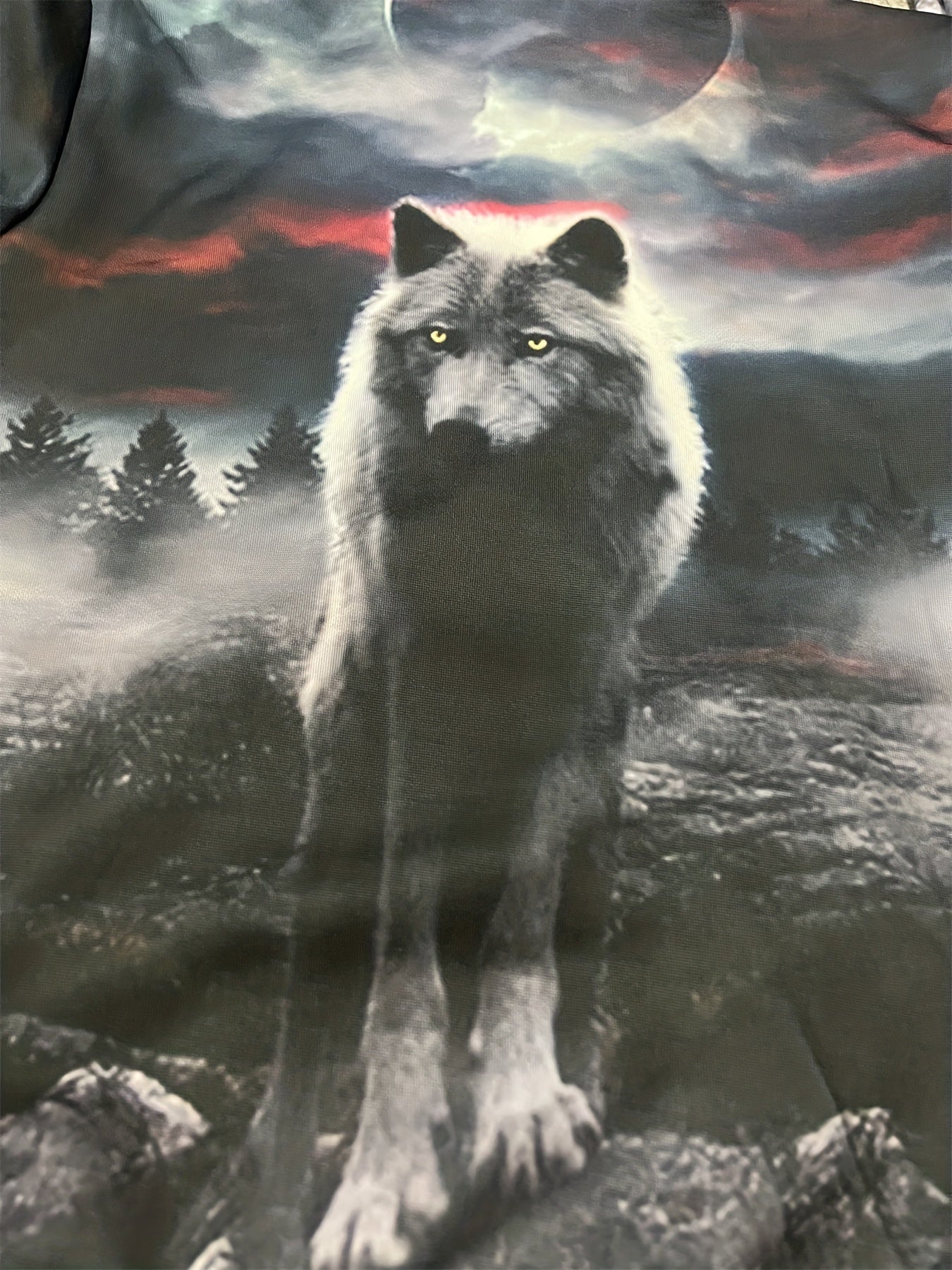 Boy's Wolf Graphic Hoodie Casual 3D Print Hooded Sweatshirt For Outdoor