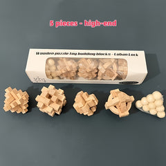 Wooden Puzzle Set 5-Pack Medium-Hard Level Craft with Instructions