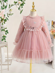Girls' Lace Embroidered Princess Dress with Tulle