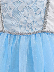 Princess Halloween Costume Dress Up Girls Fairy Tale Lace Embroidered Puff Sleev