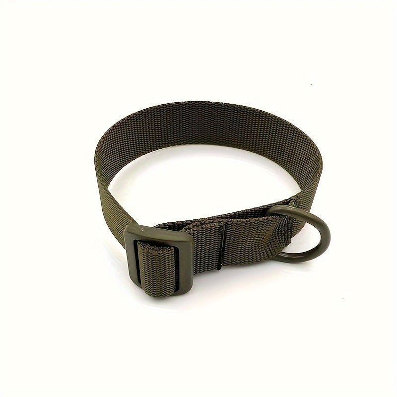 Portable Strapping Belt with Safety D Ring - Heavy Duty Loop