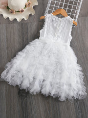 Toddler Girls Lace Flowers Embroidery Tutu Dress For Party