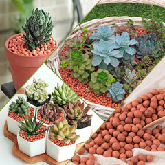 Ceramsite Clay Pebbles 200g Indoor Plant Drainage Solution