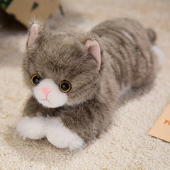 Realistic Cat Plush Toy for Kids, Boys & Girls