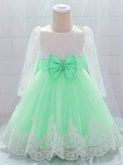Baby Girls Floral Embroidery Long Sleeve Mesh Gown Princess Dress