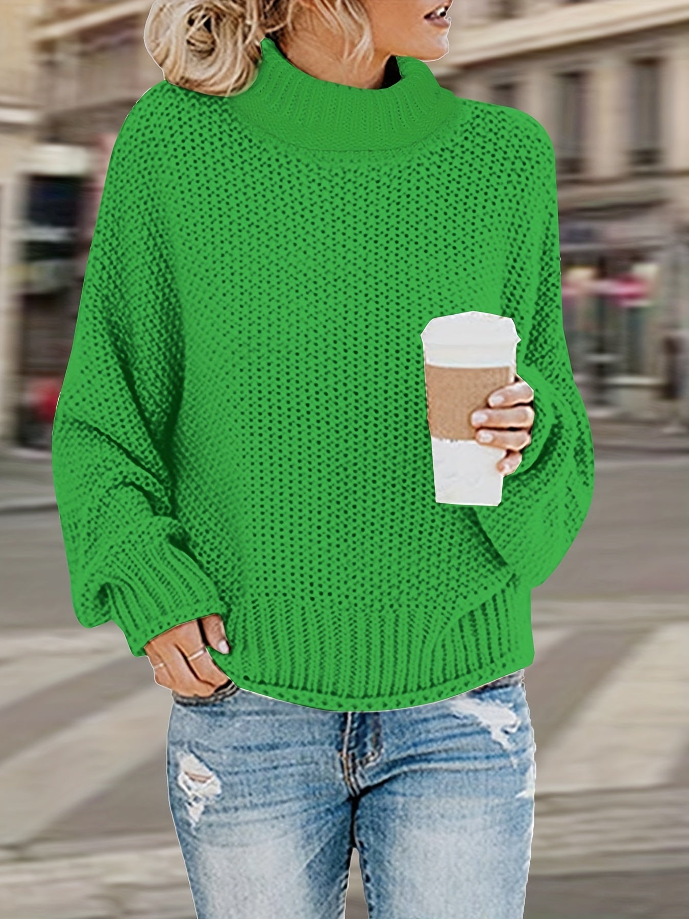 Solid Long Sleeve Turtle Neck Sweater