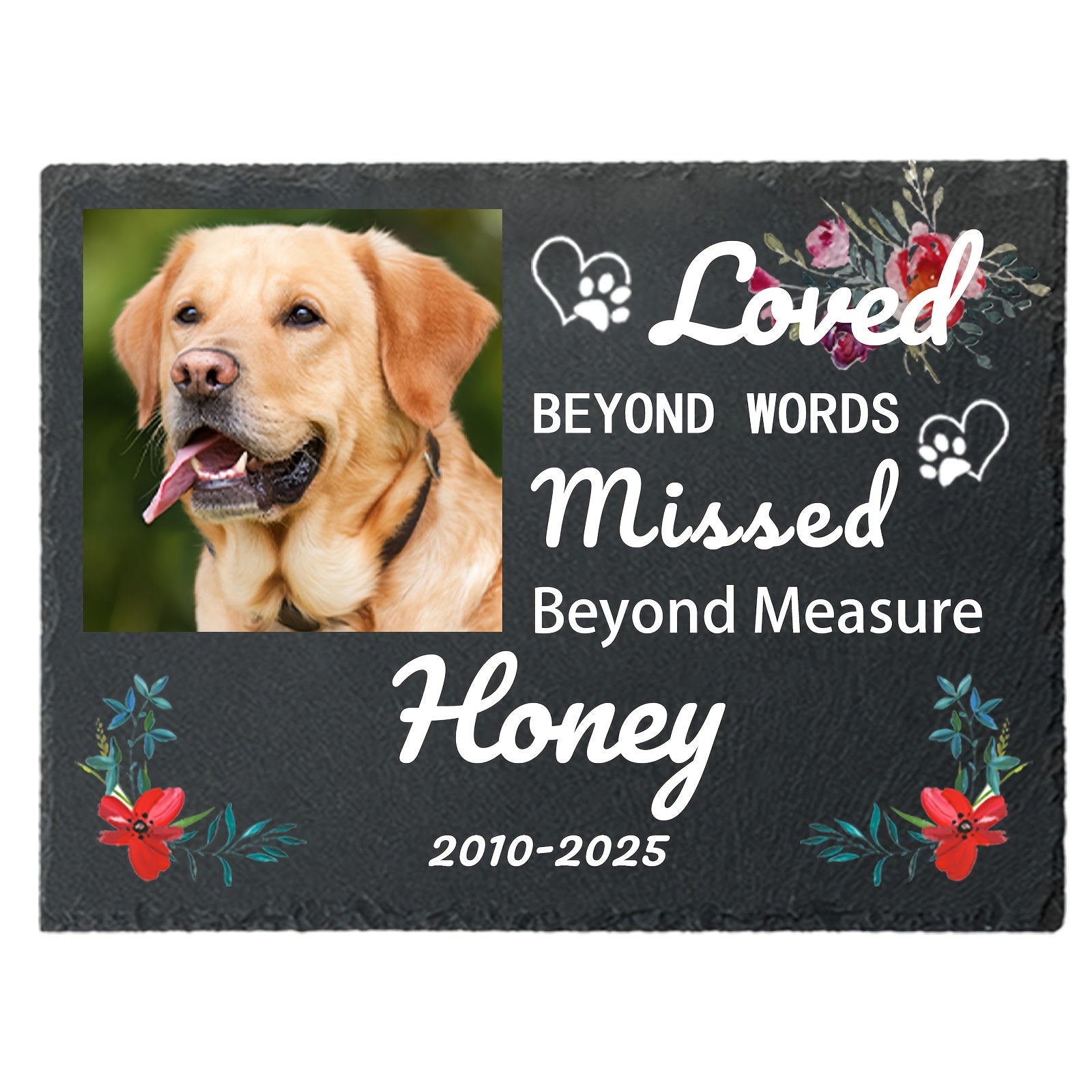 img_6514972
