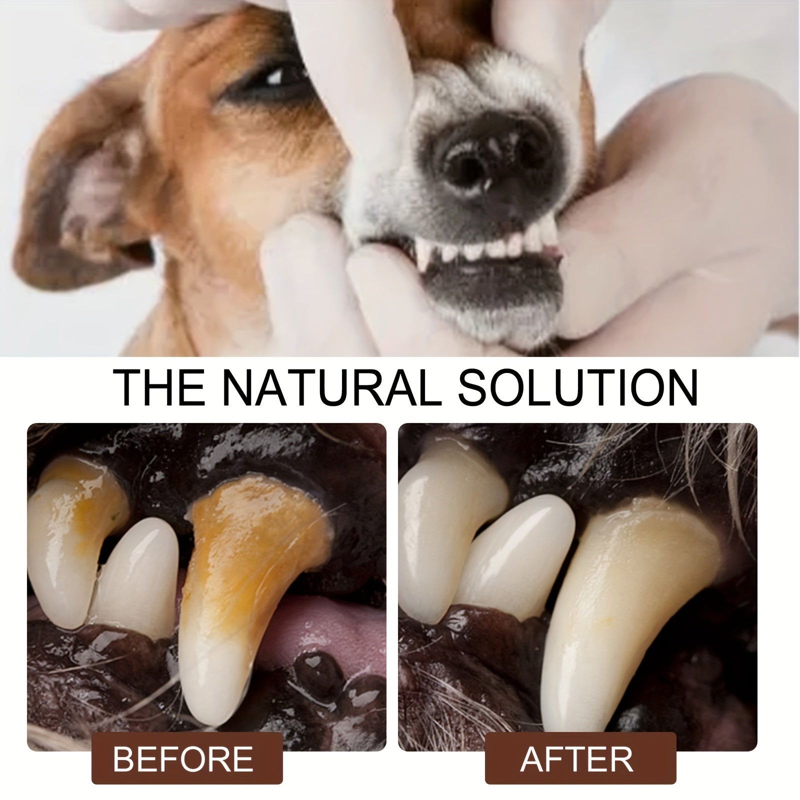 Pet Teeth Cleaning Spray Oral Care Dogs Cats