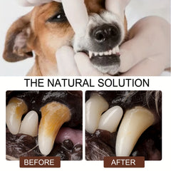 Pet Teeth Cleaning Spray Oral Care Dogs Cats