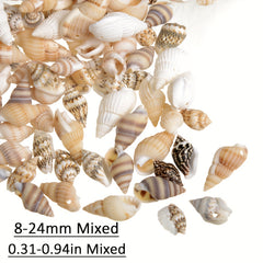 30pcs Sea Conch Shell Beads Cowrie Charm DIY Necklace Bracelet Accessories